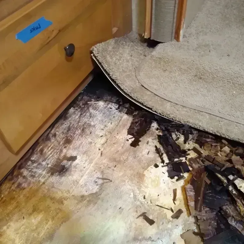 Wood Floor Water Damage in Johnsonville, SC